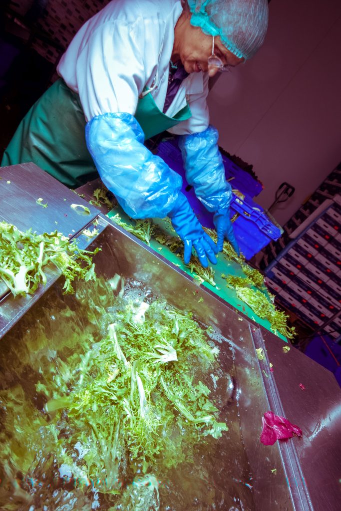 creative media services Belper